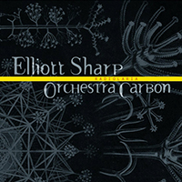 Elliott Sharp - Radiolaria (with Orchestra Carbon)