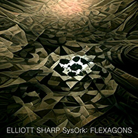 Elliott Sharp - Flexagons (with SysOrk)