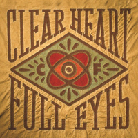 Craig Finn - Clear Heart Full Eyes