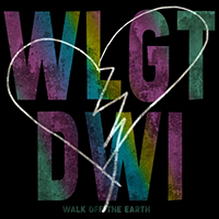 Walk Off The Earth - What's Love Got to Do with It