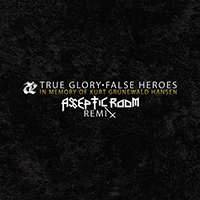Leaether Strip - True Glory - False Heroes (Asseptic Room Remix) (Single)