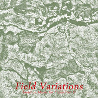 WMRI - Field Variations