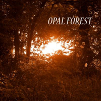 WMRI - Opal Forest