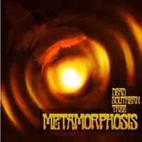 Dead Southern Tree - Metamorphosis