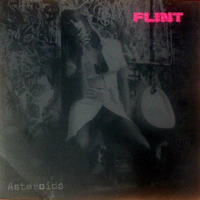 Flint - Asteroids (Limited Edition - Single)
