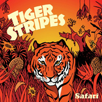 Tiger Stripes - Safari