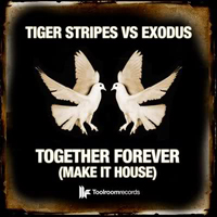 Tiger Stripes - Together Forever (Make It House) (Remixes - Single)