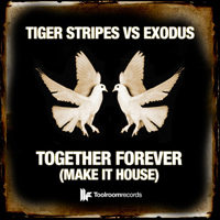 Tiger Stripes - Together Forever Make It House (Remixes - Single) 