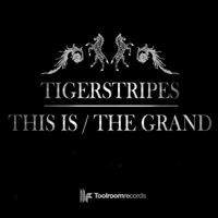 Tiger Stripes - This Is / The Grand (Single)