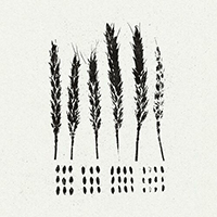 Lo! - The Gleaners