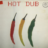 Sly and Robbie - Hot Dub
