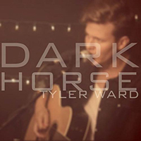 Tyler Ward - Dark Horse (acoustic) (originally by Katy Perry)
