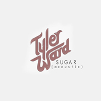 Tyler Ward - Sugar (acoustic) (originally by Maroon 5)