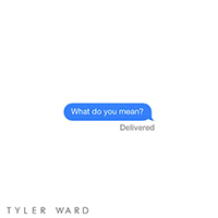 Tyler Ward - What Do You Mean? (originally by Justin Bieber)