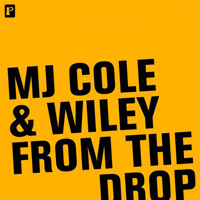 MJ Cole - From The Drop (feat. Wiley) (EP)