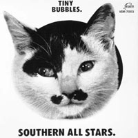 Southern All Stars - Tiny Bubbles