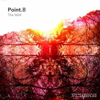 Point B - The Veld