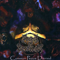 Spirit Of Rebellion - Common Peace Denied