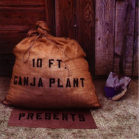 10 FT. Ganja Plant - Presents