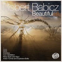 Robert Babicz - Beautiful