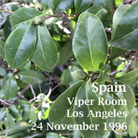 Spain - 1996.11.24 - Spain in Viper Room, Los Angeles