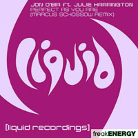 Jon O'Bir - Jon O'bir Feat Julie Harrington - Perfect As You Are (Incl Marcus Schossow Remix) [Single]