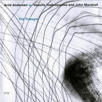 Arild Andersen - The Triangle