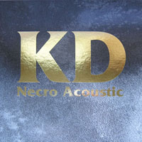 Kevin Drumm - Necro Acoustic (CD 1 - Lights Out)