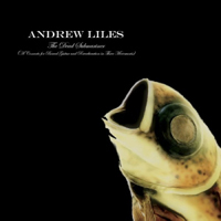 Andrew Liles - The Dead Submariner (A Concerto For Bowed Guitar And Reverberation In Three Movements)