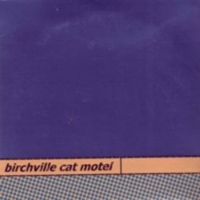 Birchville Cat Motel - Blankangelspace