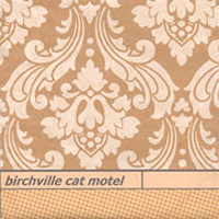 Birchville Cat Motel - Long Vanished Spirals