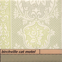 Birchville Cat Motel - Mighty Spine Catcher
