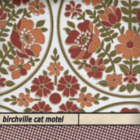 Birchville Cat Motel - Astro Catastrophies (CD 1)