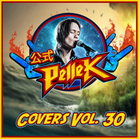 PelleK - Covers, Vol. 30