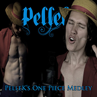PelleK - Pellek's One Piece Medley