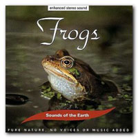 David Sun - Frogs