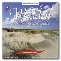 David Sun - Wadden - Sands & Seagulls