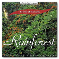 David Sun - Rainforest
