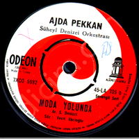 Ajda Pekkan - Moda Yolunda - Serseri (Vinyl Single)