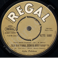 Ajda Pekkan - Sen Bir Yana Dunya Bir Yana - Iciyorum (Vinyl Single)
