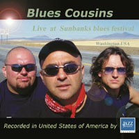 Blues Cousins - Live at Sunbanks blues festival