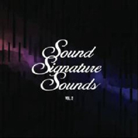 Theo Parrish - Sound Signature Sounds, vol. 2