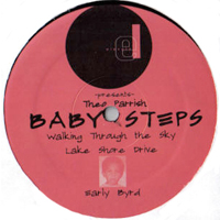 Theo Parrish - Baby Steps