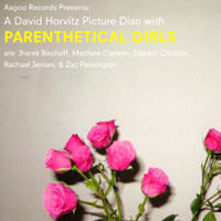 Parenthetical Girls - A David Horvitz picture Disc with Parenthetical Girls (Single)