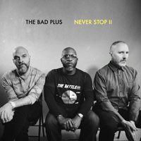Bad Plus - Never Stop II