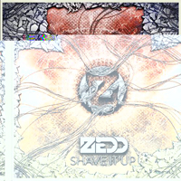 ZEDD - Shave It Up (Extended Mix)