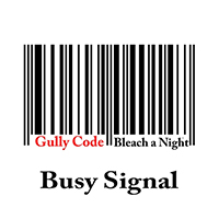 Busy Signal - Gully Code (Bleach a Night) (Single)