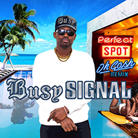 Busy Signal - Perfect Spot (Oh Gosh Remix) (Single)