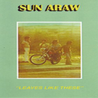 Sun Araw - Leaves Like These