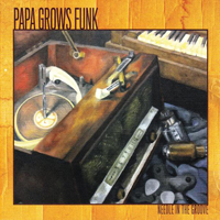 Papa Grows Funk - Needle In The Groove